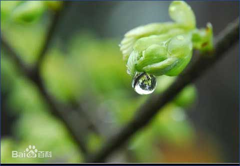 喜訊！2017新年開工第一份中標(biāo)通知書